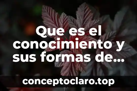 Po que es importante conocer la razon de cambio 3 Que es el conocimiento y sus formas de conocer