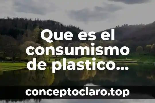 Que es el consumismo de plastico definicion