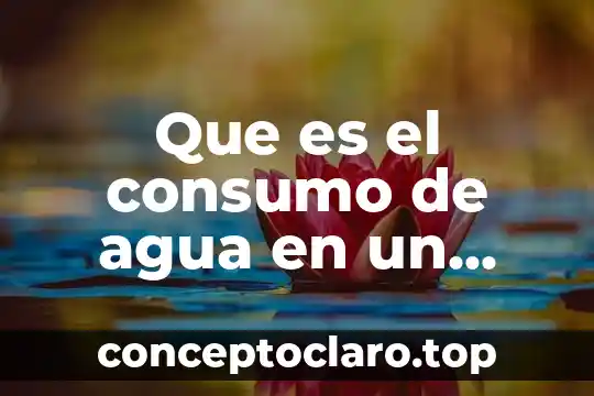 Que es el consumo no responsable de la tecnologia 8 Que es el consumo de agua en un hotel