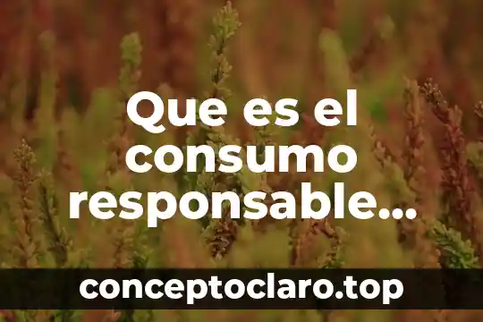 Que es el consumo responsable del agua