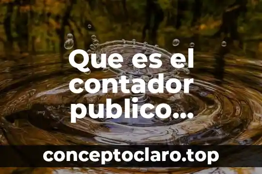 Que es control de acceso seguridad informatica 7 Que es el contador publico certificad