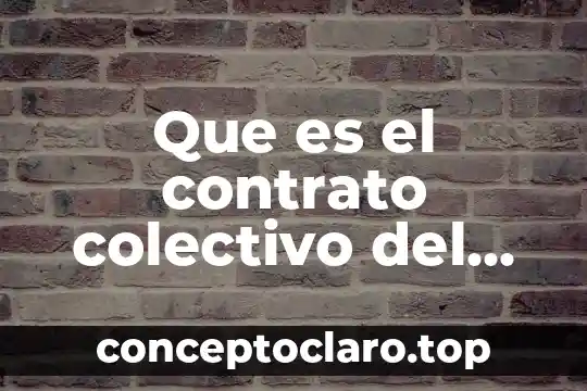 Que es un administrador en una sociedad de nombre colectivo 8 Que es el contrato colectivo del i.m.s.s