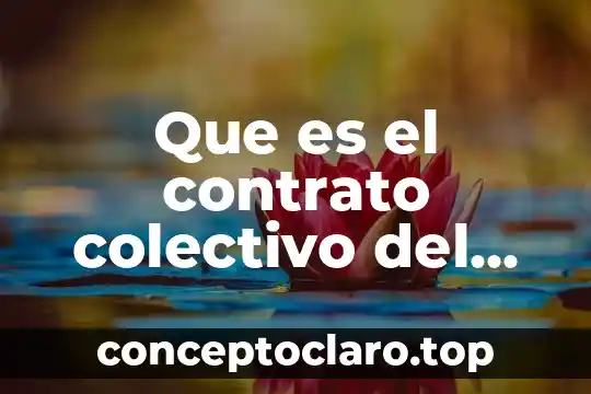 Que es un administrador en una sociedad de nombre colectivo 6 Que es el contrato colectivo del i.m.s.s