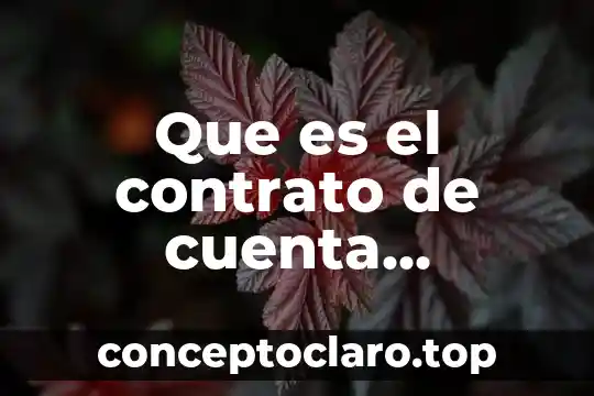 Que es el contrato compromisorio 4 Que es el contrato de cuenta corriente mercantil