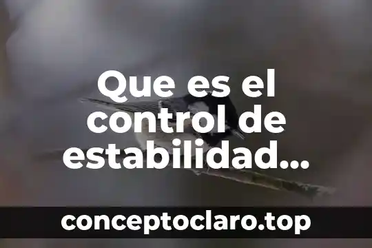 Que es el control de estabilidad electronico