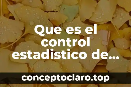 Que es el control estadistico de procesos cep