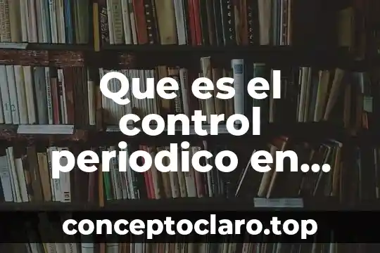 Que es el control periodico en administracion