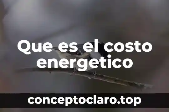 Que es el costo energetico