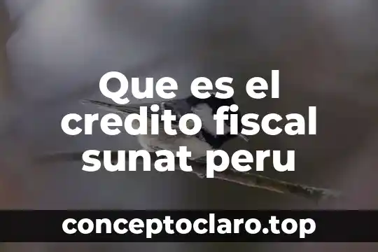 Que es credito por cambaceo 3 Que es el credito fiscal sunat peru