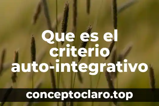 Que es el criterio auto-integrativo