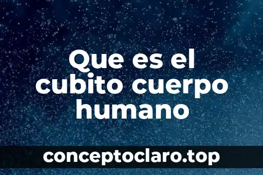 Por que es bella la inteligenca del ser humano 5 Que es el cubito cuerpo humano