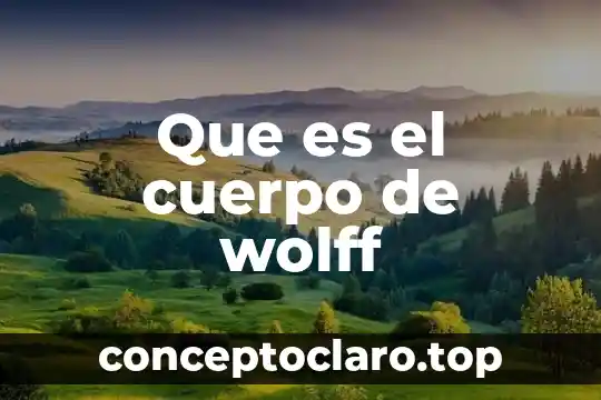 Que es lo que se deintoxica del cuerpo 3 Que es el cuerpo de wolff