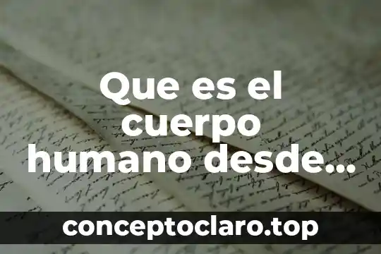 Por que es bella la inteligenca del ser humano 3 Que es el cuerpo humano desde la perspectiva sistémica