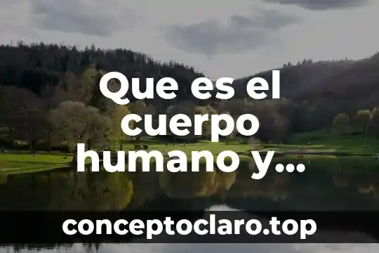 Que es el cuerpo humano y como esta conformado