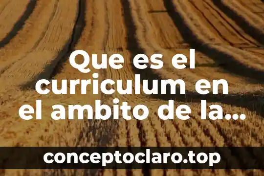 Que es el curriculum en el ambito de la educación