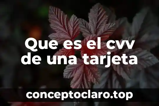 Que es el cvv de una tarjeta