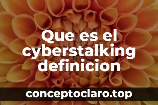 Que es el cyberstalking definicion
