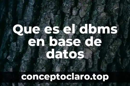 Que es el dbms en base de datos