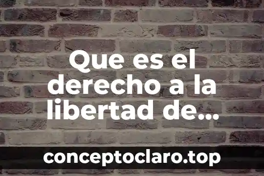 Que es el derecho a la libertad de opinion