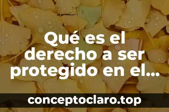 Que es ser un finder 7 Qué es el derecho a ser protegido en el abandono