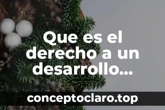 Que es el derecho a un desarrollo integral