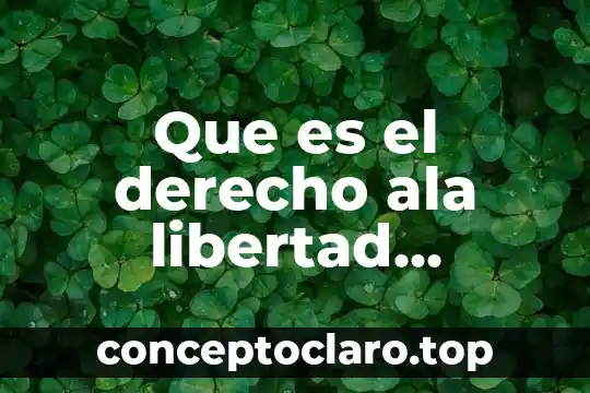 Que es el derecho ala libertad expresiva