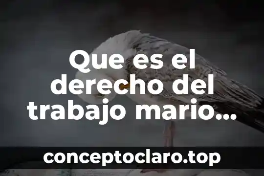 Qué es liderazgo según Mario de Marchis 4 Que es el derecho del trabajo mario de la cueva