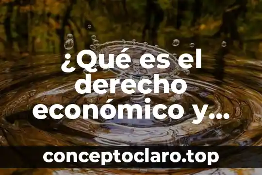 Lanzar aplicación por actividad principal que es significa 7 ¿Qué es el derecho económico y una aplicación?