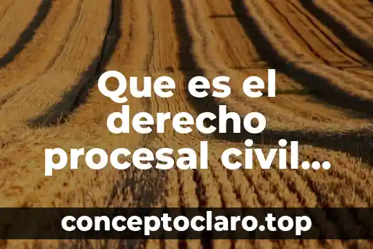 Que es el derecho procesal civil guatemalteco