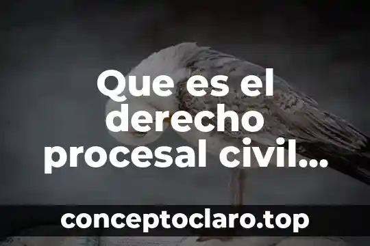 Que es el derecho procesal civil romano