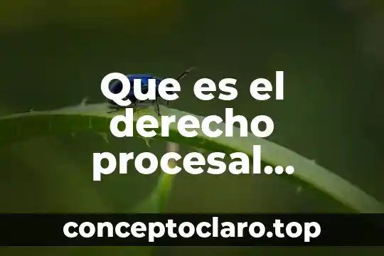 Que es el derecho procesal distintos autores