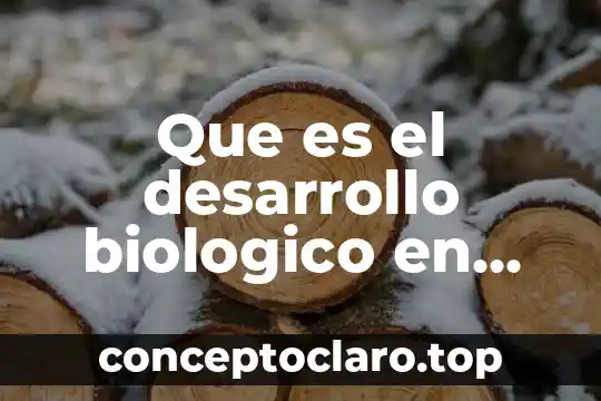 Que es un activo biologico en contabilidad 4 Que es el desarrollo biologico en psicologia