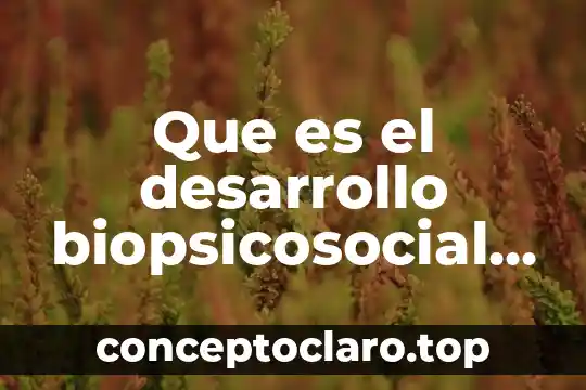 Que es el desarrollo biopsicosocial en el ser humano