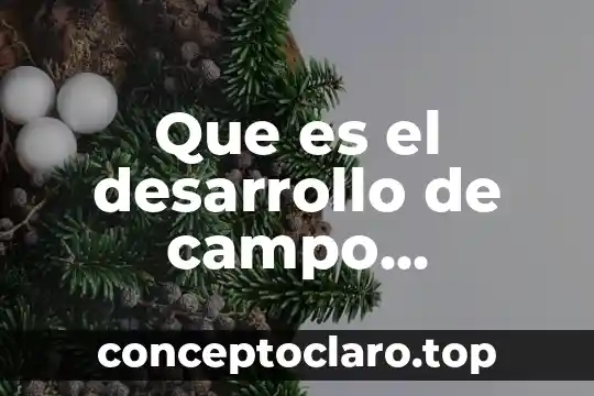 Variantes de un cuento que es una 7 Que es el desarrollo de campo petrolero