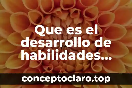 Que es la ilustracion y como se desarrollo 5 Que es el desarrollo de habilidades socioemocionales