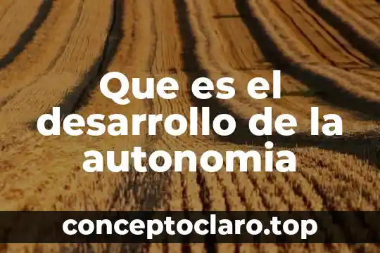 Que es autonomia y sus caracteristicas 5 Que es el desarrollo de la autonomia