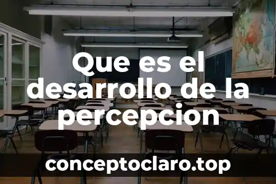 Desarrollo y conclusión que es 6 Que es el desarrollo de la percepcion