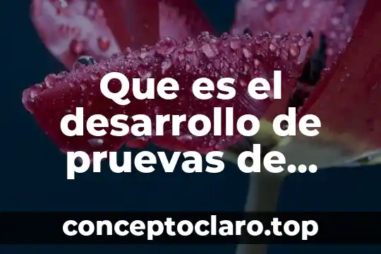 Que es el desarrollo de pruevas de concepto