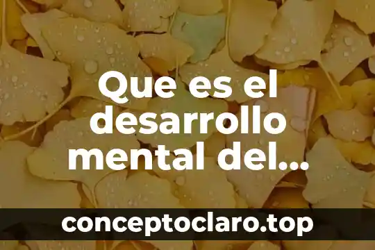 Que es el desarrollo mental del niño segun piaget