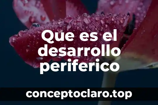 Desarrollo que es de un trabajo 6 Que es el desarrollo periferico