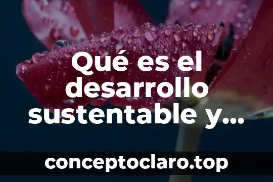 Qué es el desarrollo sustentable y cuáles son sus dimensiones