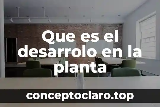 Que es el tejido dermico de una planta 8 Que es el desarrolo en la planta