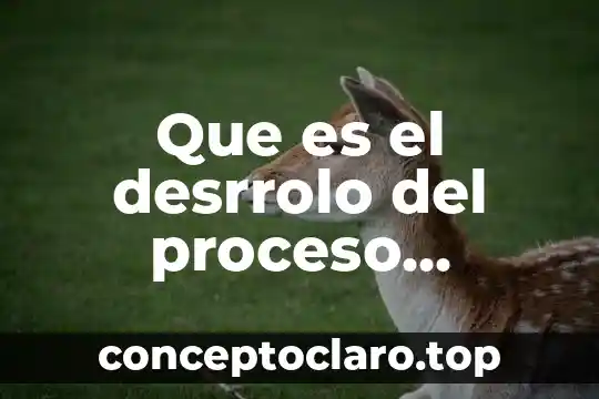 Qué es un suelo fértil y productivo 7 Que es el desrrolo del proceso productivo
