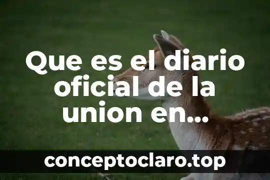 Qué es constancia de alineamiento y número oficial 6 Que es el diario oficial de la union en mexico