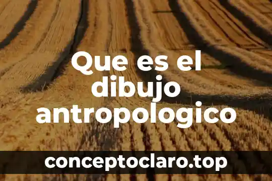 Que es el dibujo antropologico