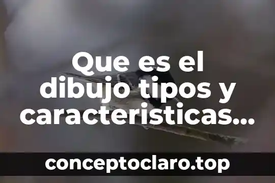 Que es el dibujo tipos y caracteristicas mas importantes
