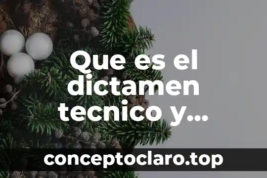 Que es el dictamen tecnico y financiero en proyecto mina