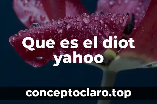 Que es el diot yahoo