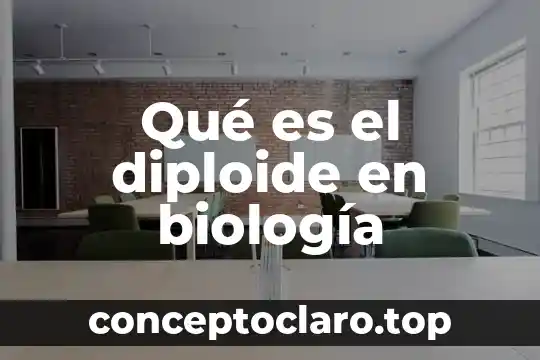 Qué es el diploide en biología