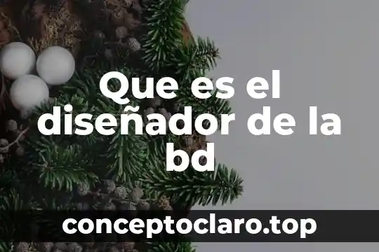 Que es el diseñador de la bd